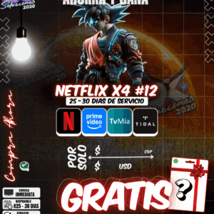 Netflix x4 #12