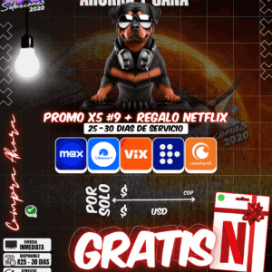 Promo x5 #9 con Regalo Netflix